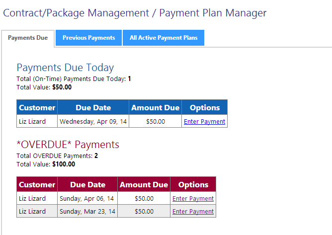 A screenshot of a payment plan Description automatically generated